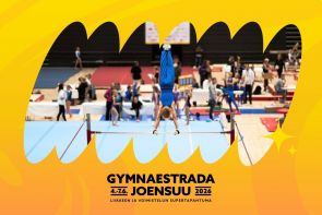 Gymnaestrada Joensuu: päivälippu