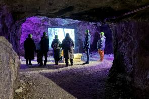 Tytyri Mine Experience Tour  in English