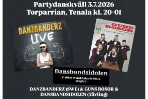 Partydanskväll